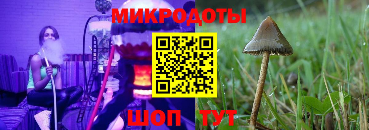 Галлюциногенные грибы Psilocybe Челябинск
